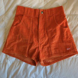 Hammies in Orange